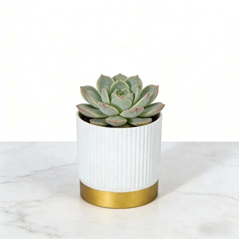 Euroselle Striped Planter For Elegant Indoor Plant Display