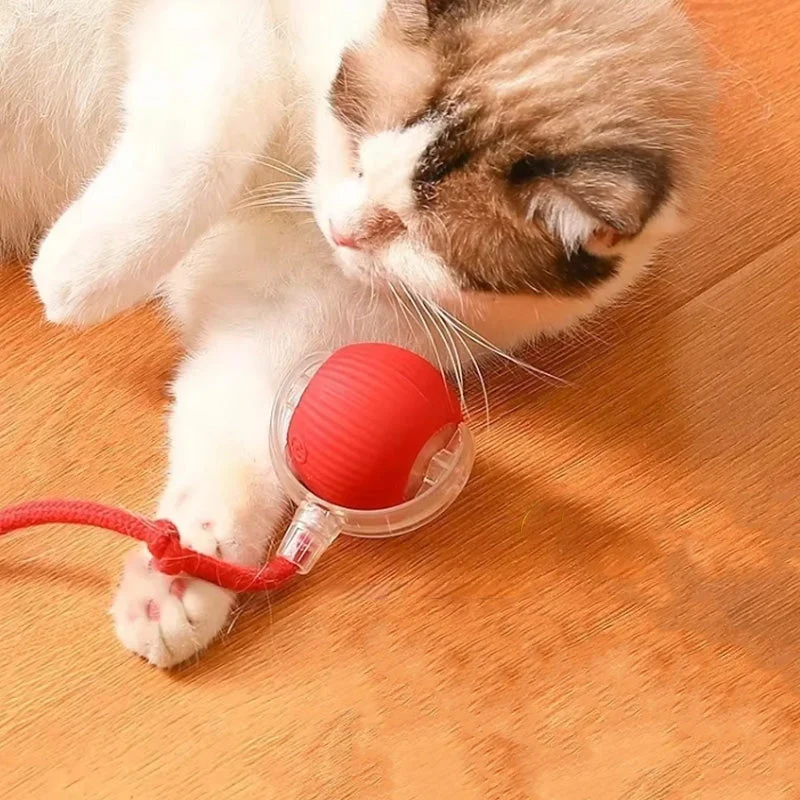 Euroselle WhiskerRoll Interactive Cat Toy Ball With Multiple Modes And Durable Silicone