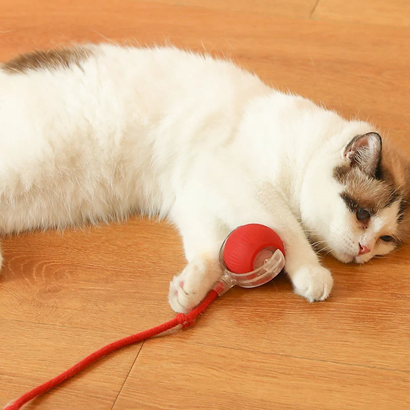 Euroselle WhiskerRoll Interactive Cat Toy Ball With Multiple Modes And Durable Silicone