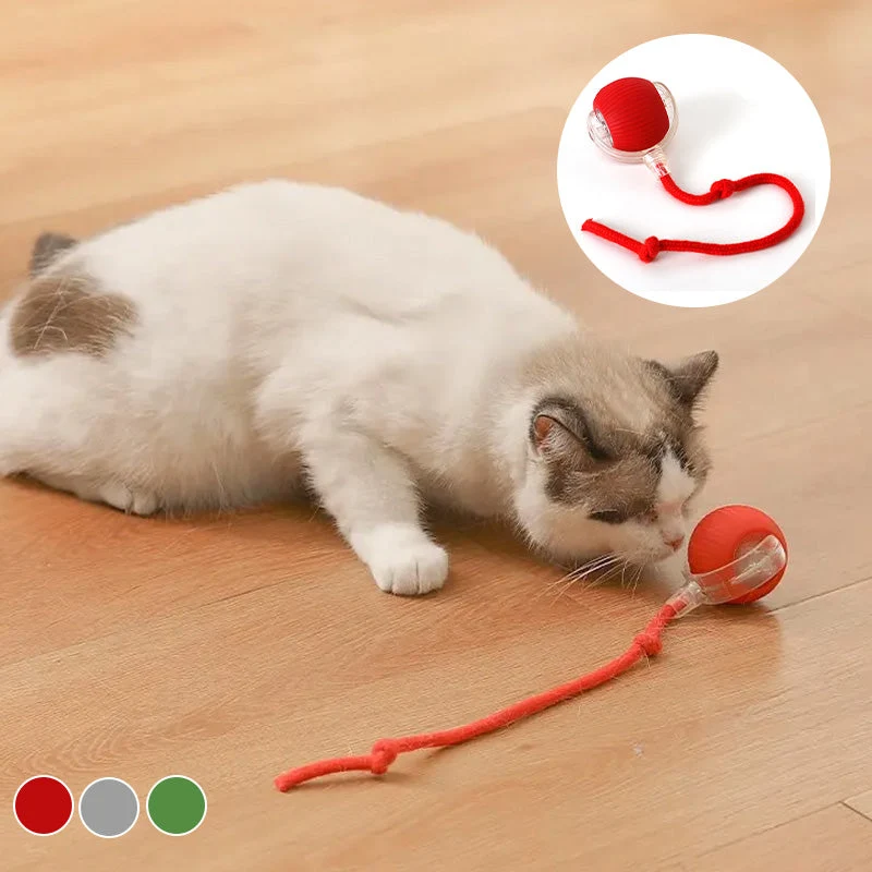 Euroselle WhiskerRoll Interactive Cat Toy Ball With Multiple Modes And Durable Silicone