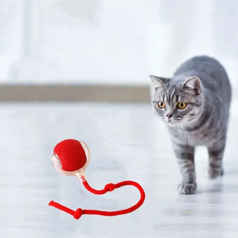 Euroselle WhiskerRoll Interactive Cat Toy Ball With Multiple Modes And Durable Silicone