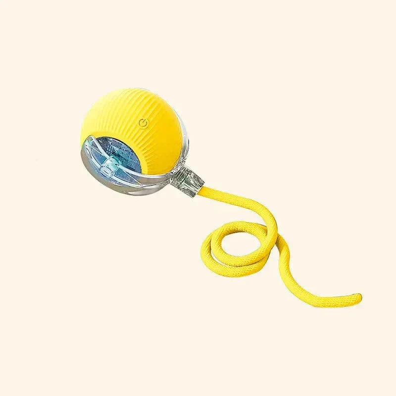 Euroselle Smart Interactive Pet Toy For Dogs And Cats