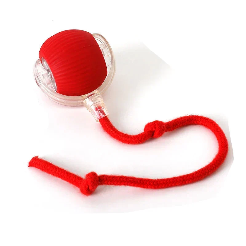 Euroselle Smart Interactive Pet Toy For Dogs And Cats