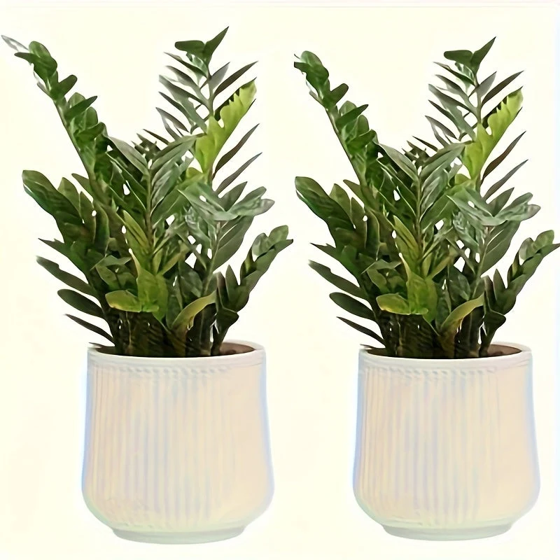 Euroselle Modern Decorative Planters For Elegant Indoor Plant Display