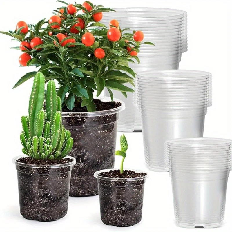 Euroselle 15 Pack Transparent Seedling Pots For Easy Root Monitoring And Growth