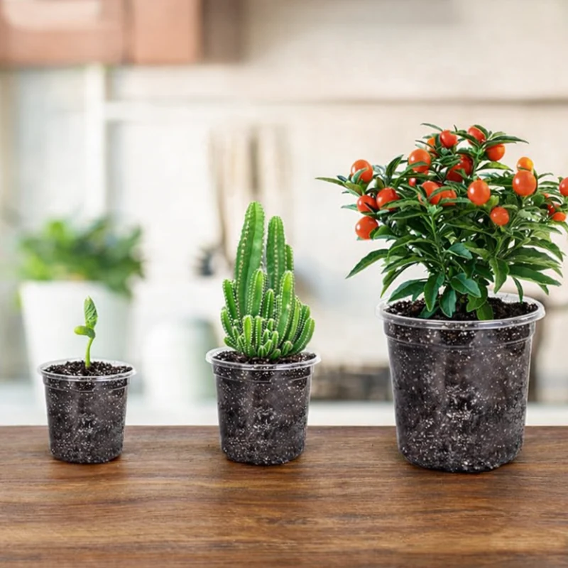 Euroselle 15 Pack Transparent Seedling Pots For Easy Root Monitoring And Growth