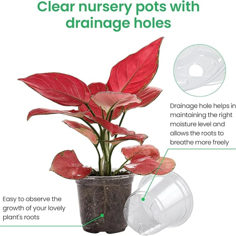 Euroselle 15 Pack Transparent Seedling Pots For Easy Root Monitoring And Growth