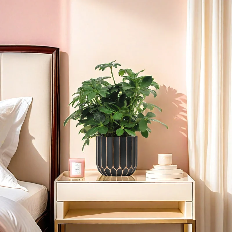 Euroselle Minimalist Scandinavian Planter for Modern Home Decor