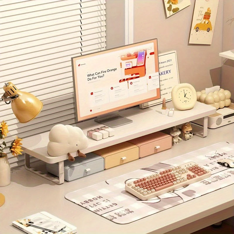Euroselle Carbon Steel Supported Desktop Monitor Stand And Organizer