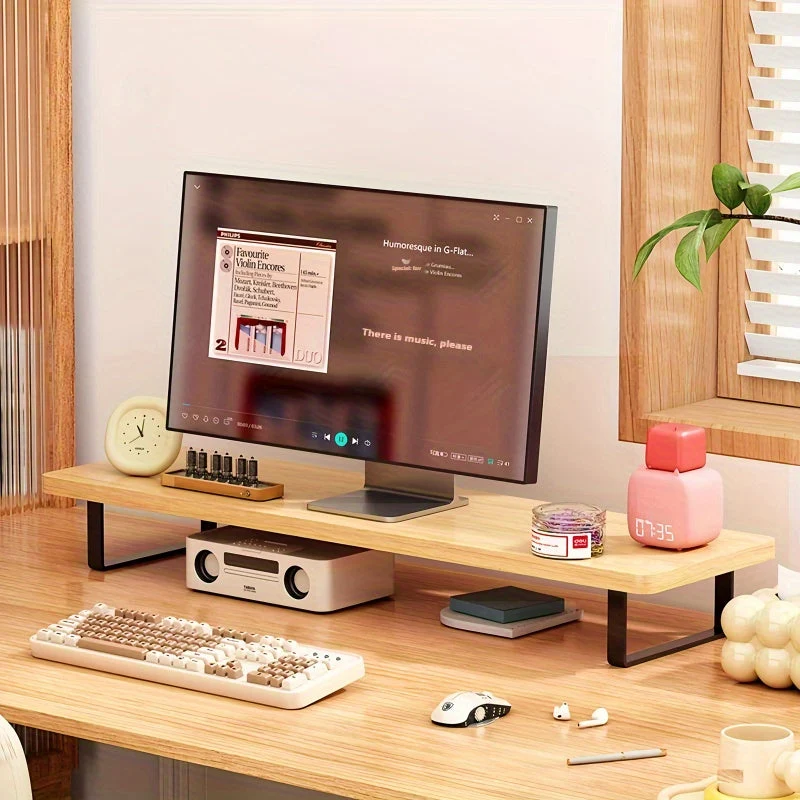 Euroselle Carbon Steel Supported Desktop Monitor Stand And Organizer