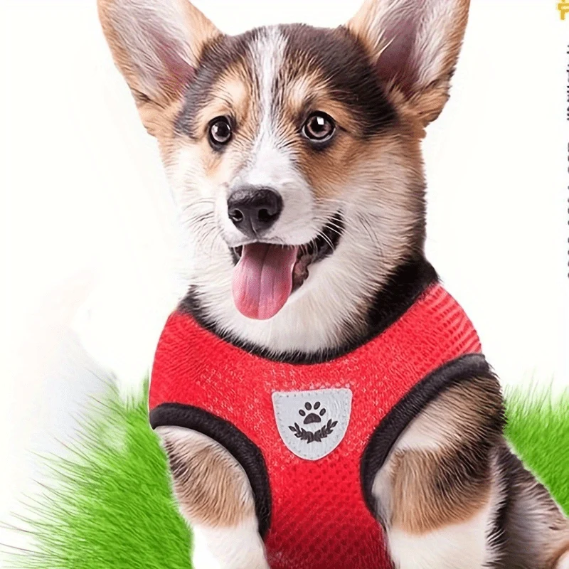 Euroselle Reflective Pet Vest With Leash For Dogs And Cats