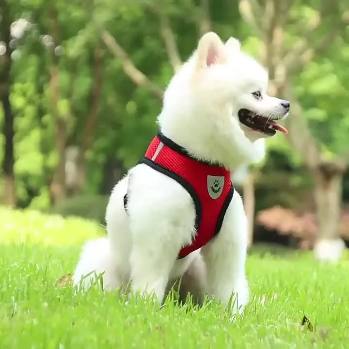 Euroselle Reflective Pet Vest With Leash For Dogs And Cats