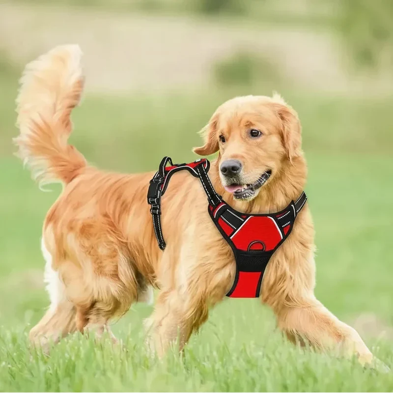 Euroselle Leather Dog Collar Harness And Leash Set