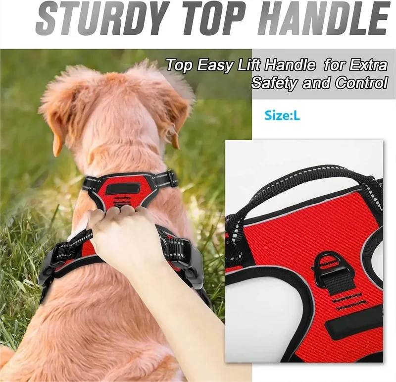 Euroselle Leather Dog Collar Harness And Leash Set