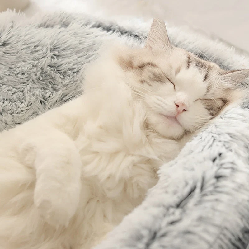 Euroselle Cozy Enclosed Cat Bed With Plush Cushion For Ultimate Comfort