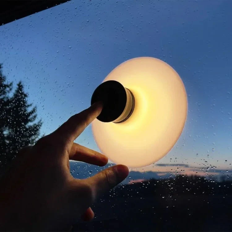 Euroselle Rechargeable LED Lamp With Adjustable Brightness For Home And Travel