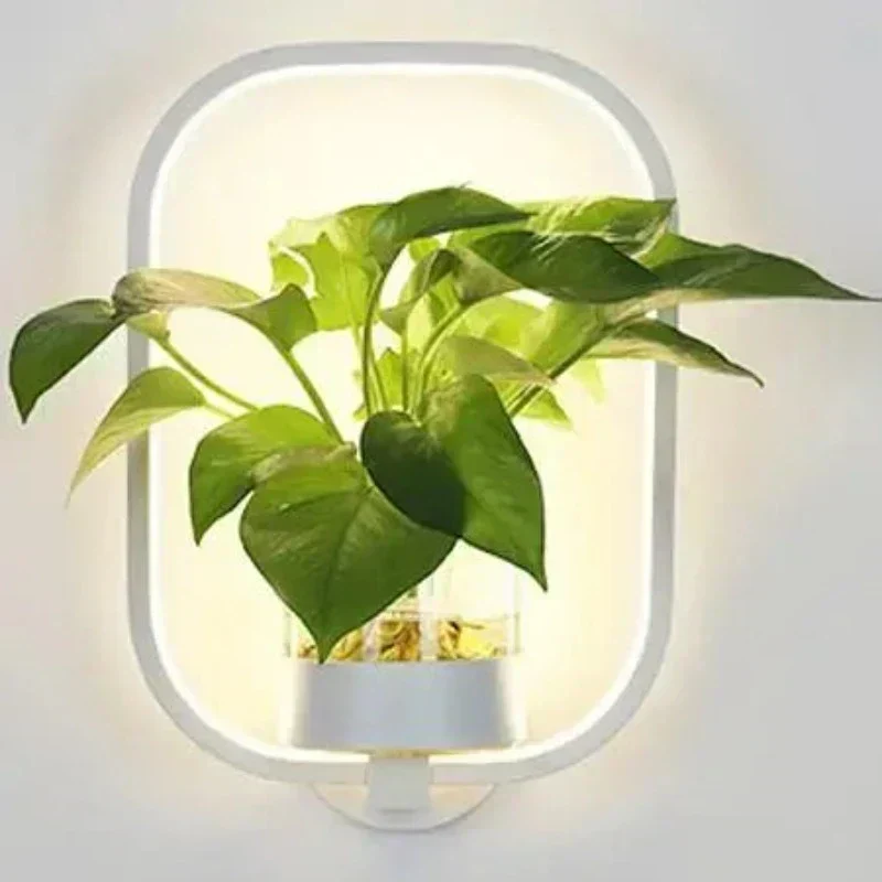 LumaSconce Wall Lamp Planter For Modern Living Rooms And Hallways By Euroselle