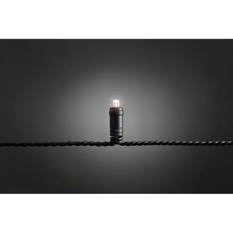 3m Micro LED Lichterkette mit 9h Timer IP67 40 Warmweiße Dioden IP44