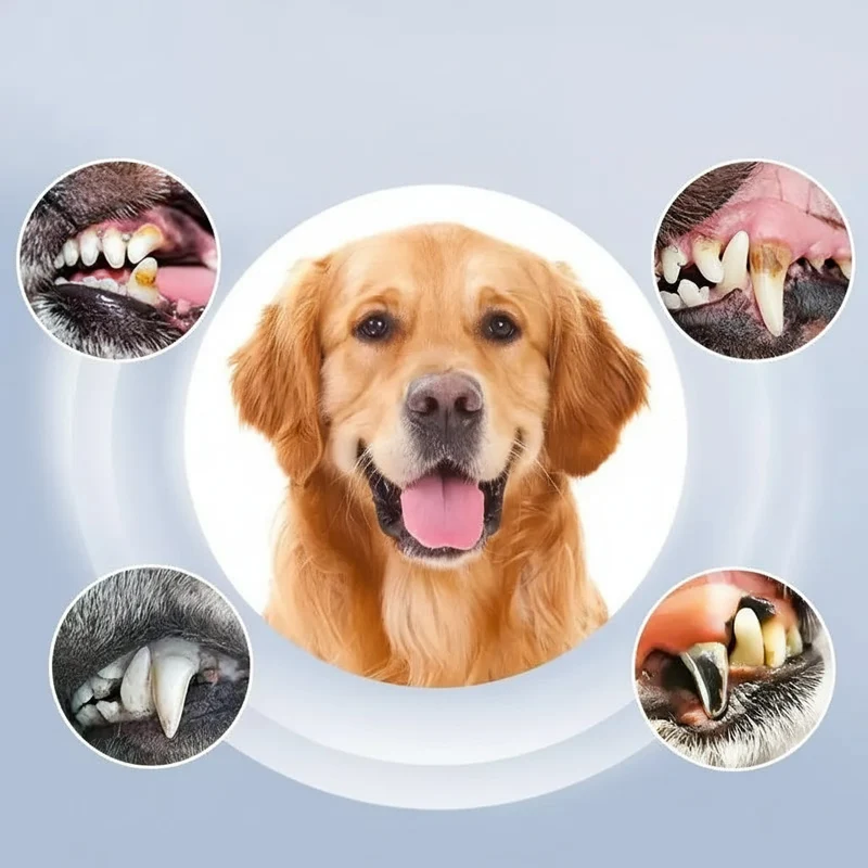 Euroselle Advanced Ultrasonic Pet Teeth Cleaning Device With 5 Care Levels