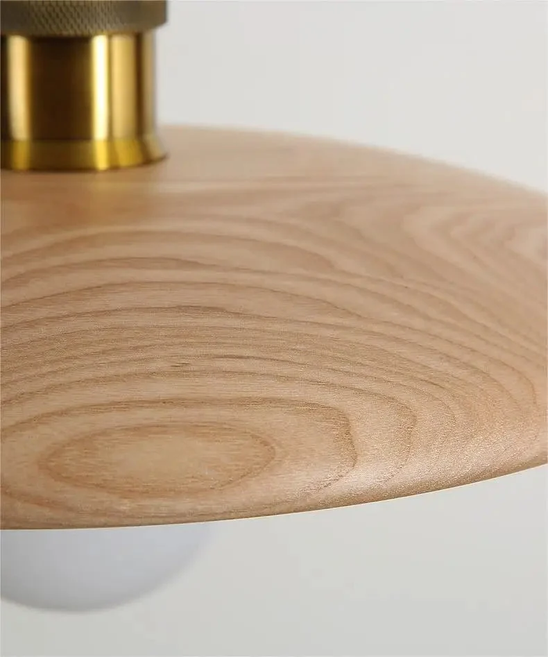 Dopwii Wooden Ceiling Pendant Lamp By Euroselle LED Light