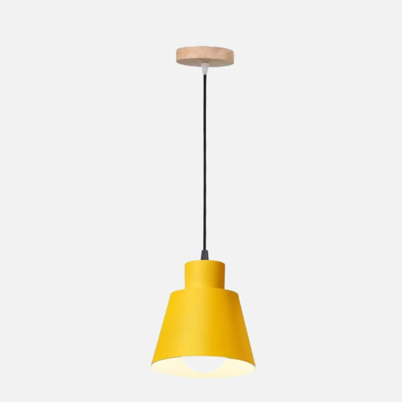 Devon Painted Aluminum Pendant Cone Light By Euroselle