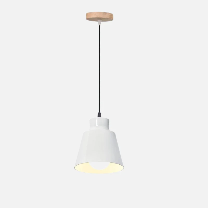 Devon Painted Aluminum Pendant Cone Light By Euroselle
