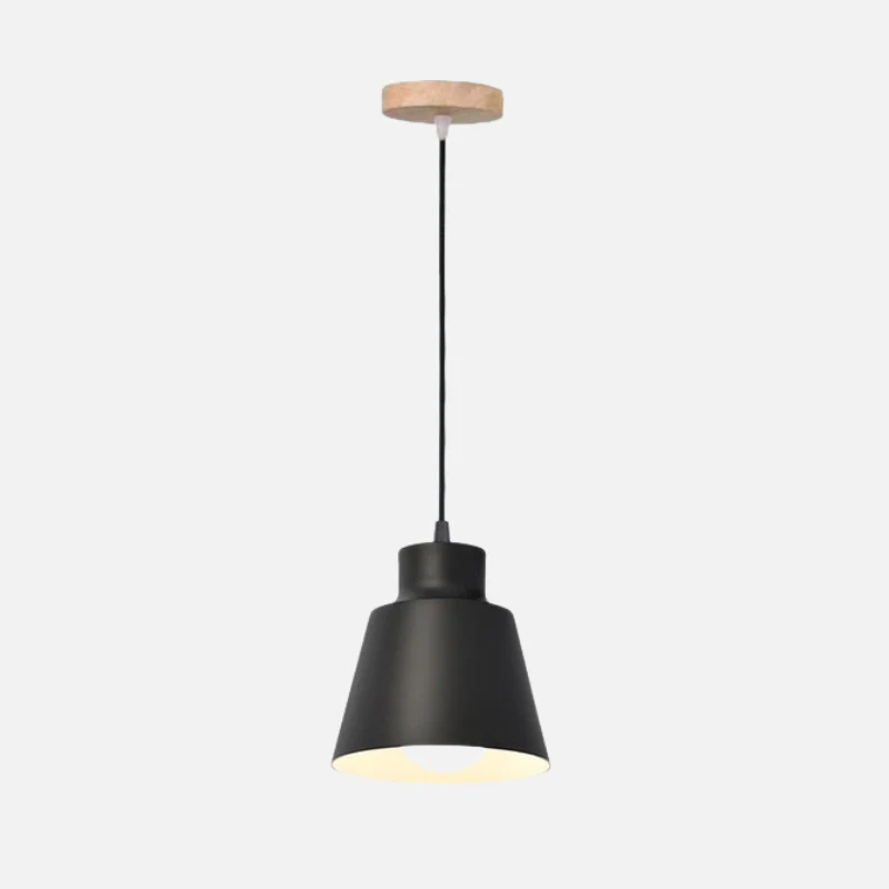Devon Painted Aluminum Pendant Cone Light By Euroselle