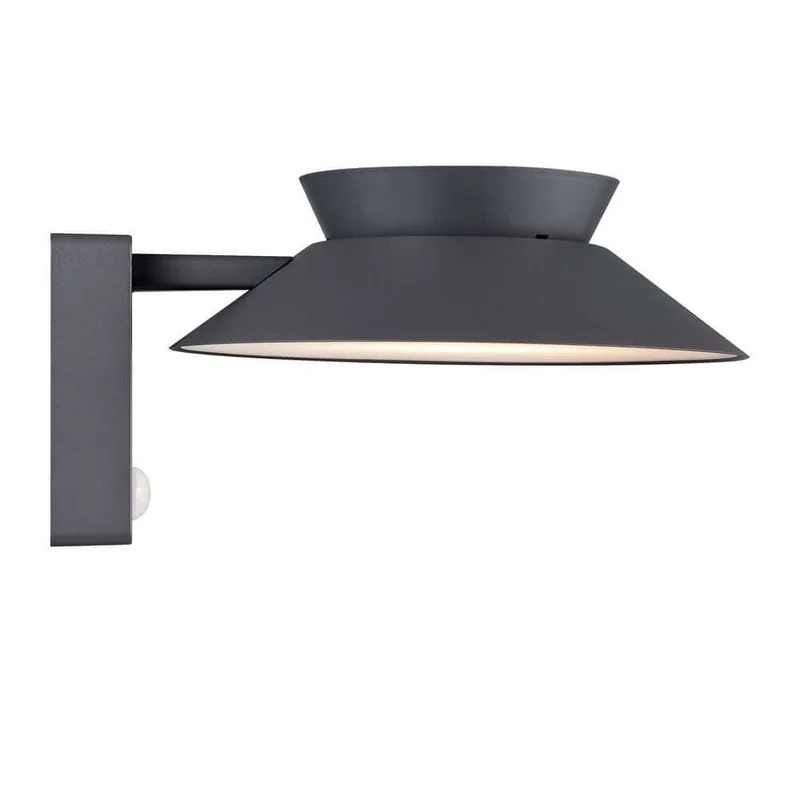 LED Außenwandlampe Justina Solar IP44