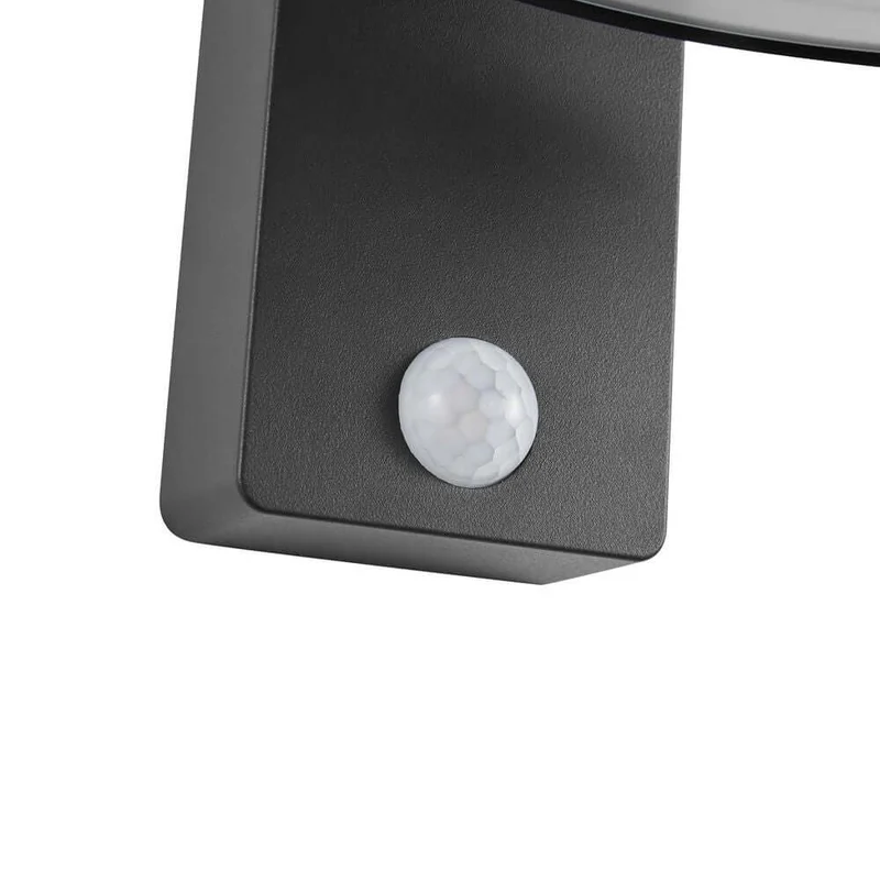 LED Außenwandlampe Justina Solar IP44