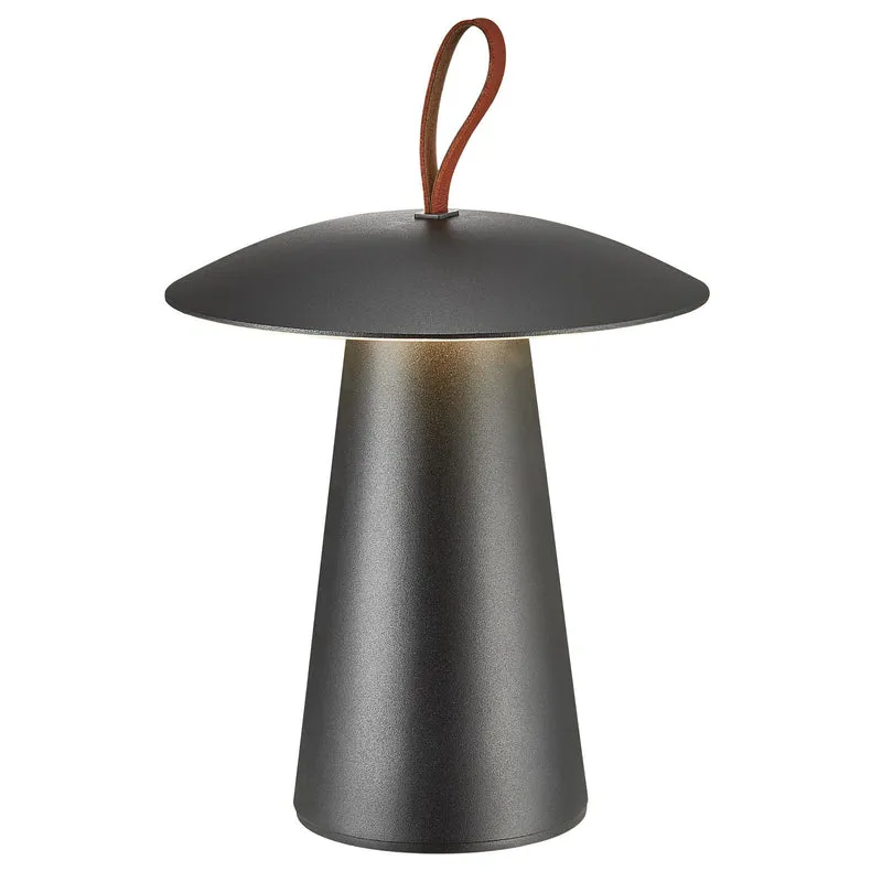 LED Akkuleuchte Ara To-Go 2 IP54