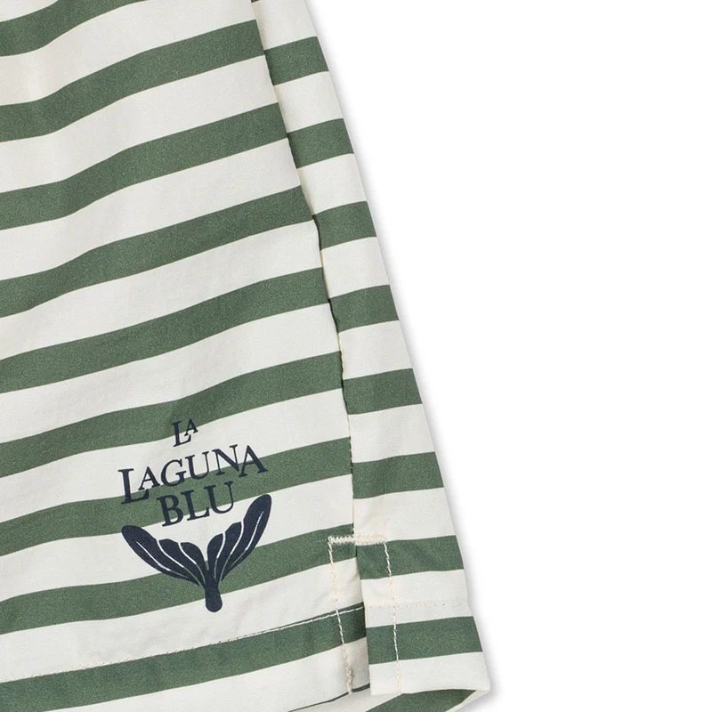 Asnou Badeshorts in Stripe Verti