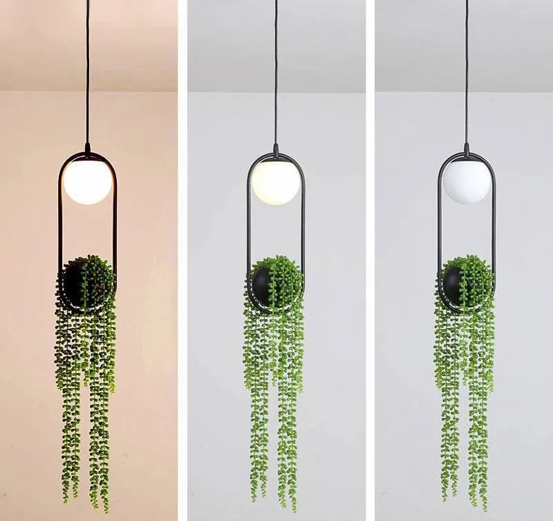 Euroselle Sky Garden Planter Pendant Light for Indoor Decor