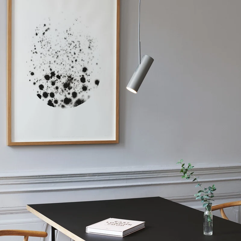 Euroselle MIB Pendant Spotlight For Art And Wall Lighting