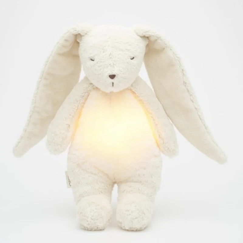 Bio-Kaninchen mit Lampe in Polar Natur