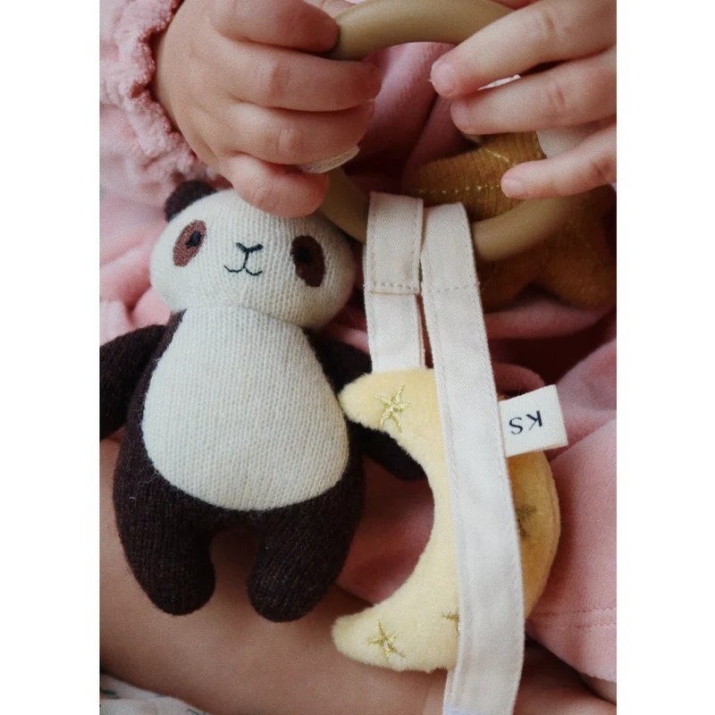 Panda-Aktivitätsring