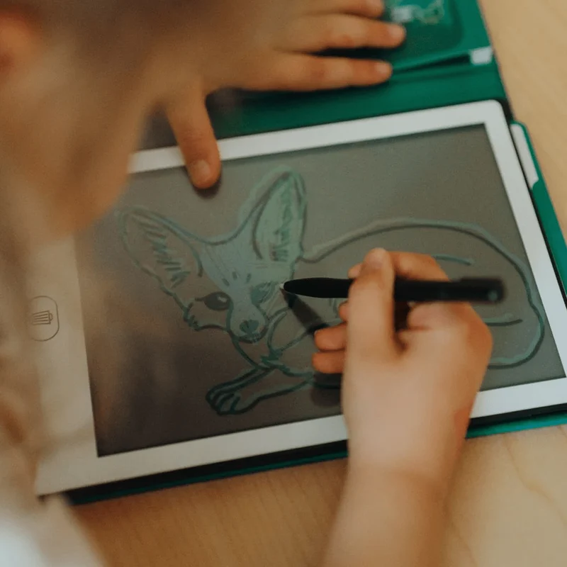 Kidydraw Mini Skizzenbuch mit LCD-Bildschirm, Animal Around the World