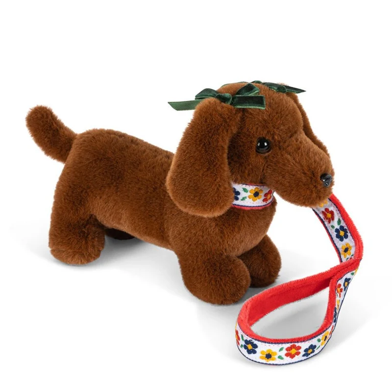 Haustierhund
