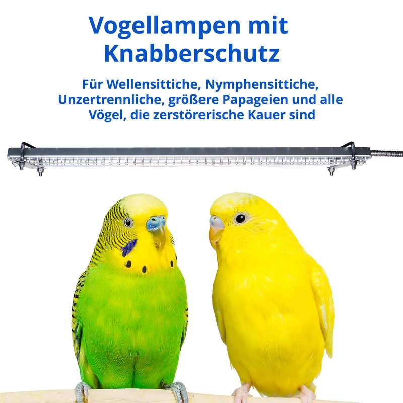Vogellampen mit Knabberschutz
