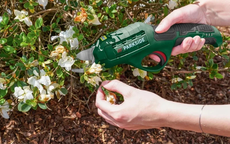 PARKSIDE Akku Gartenschere 4V PAGS 4 A1 Astschere USB-C Kabel Schutzhülle