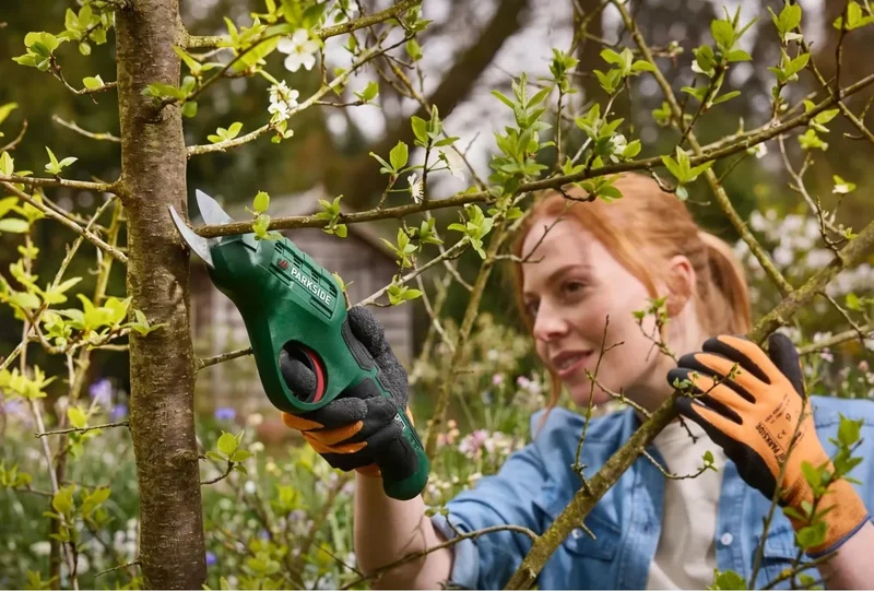 PARKSIDE Akku Gartenschere 4V PAGS 4 A1 Astschere USB-C Kabel Schutzhülle