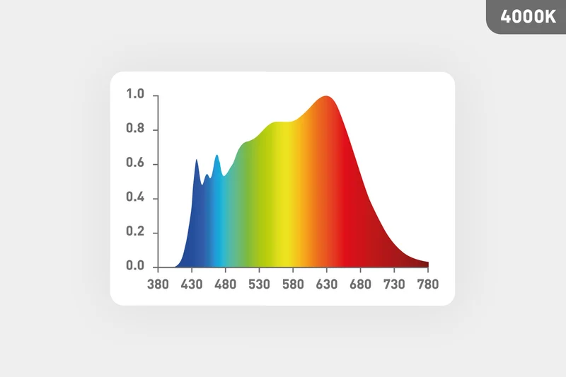 LED E27 - 2 in 1 Arbeitslicht 4000K & Warmweiß 2700K Vollspektrum