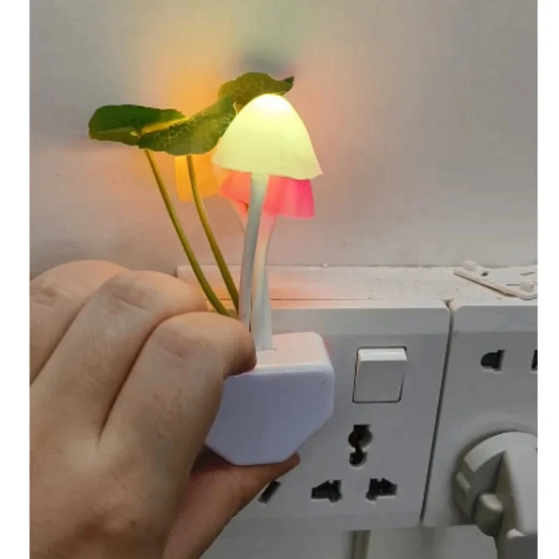 Veilleuse champignon sur prise