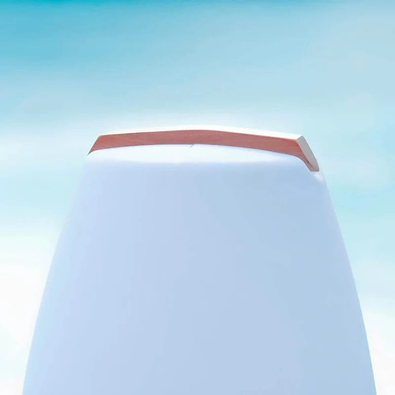 Akku LED-Dekolampe Vessel S mit Holzgriff & App-Steuerung