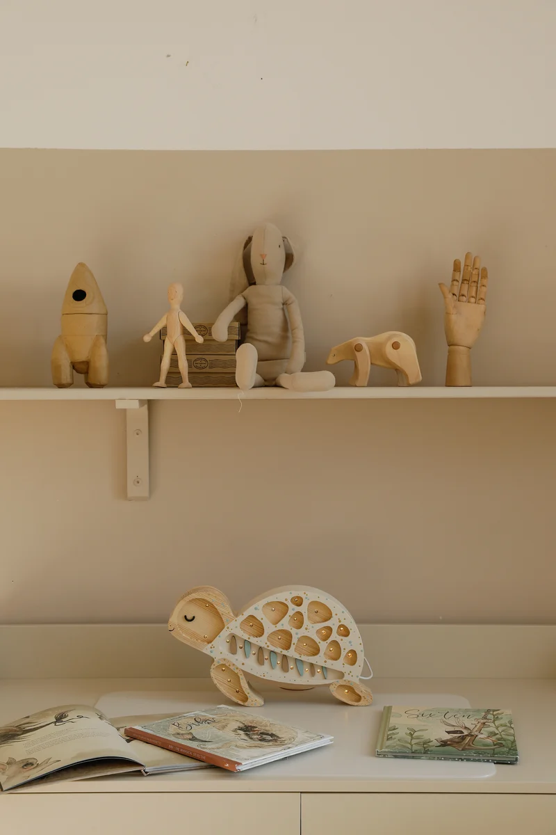 Little Lights Turtle Night Light | Albino Sprinkles