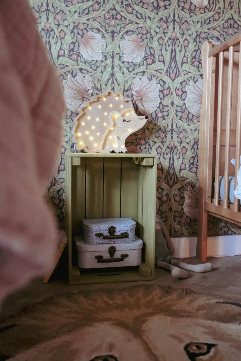 Little Lights Hedgehog Night Light | Autumn Brown