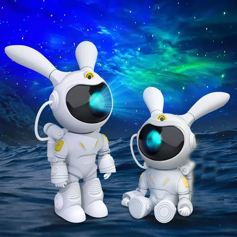 Astronaute lapin | SpaceRabbit