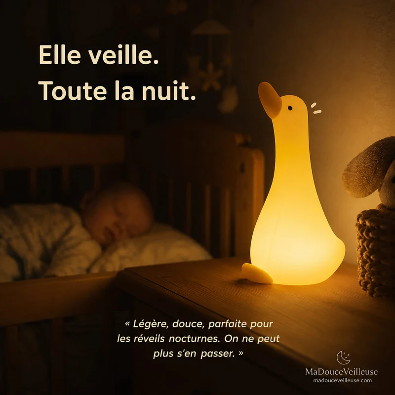 Veilleuse oie - ZenOie