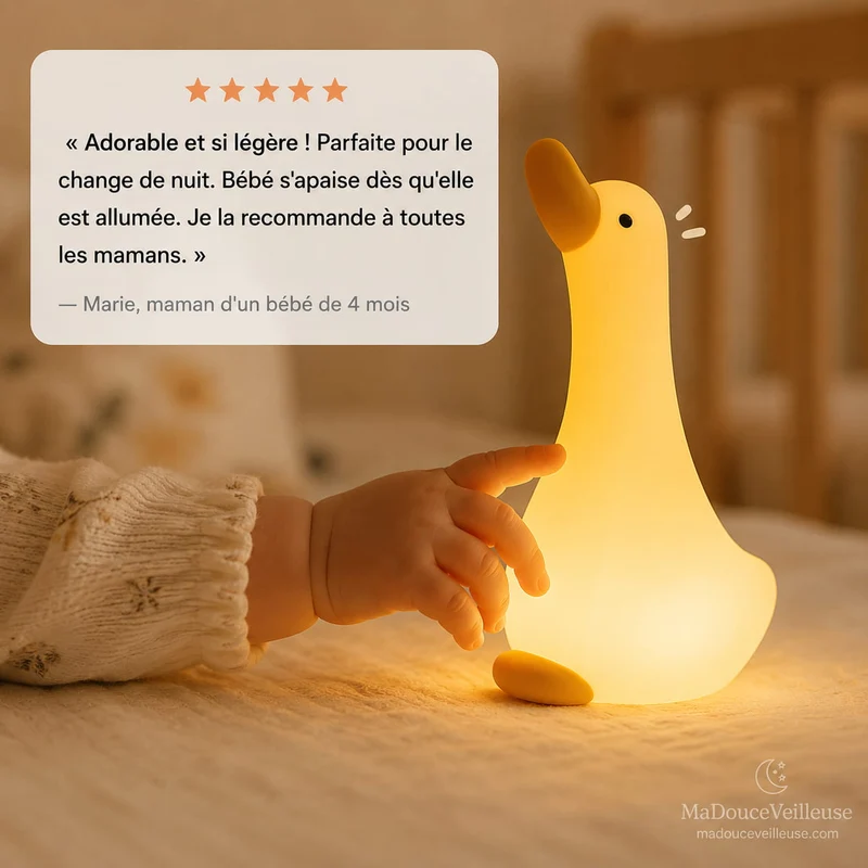 Veilleuse oie - ZenOie