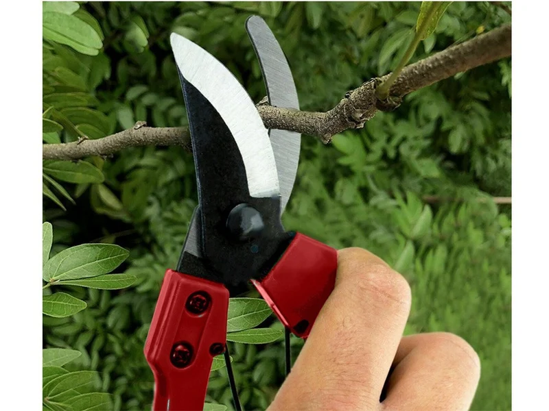 Gartenschere Handschere Pflanzenschere Strauchschere mit Sicherheitsverschluss 5907451356487