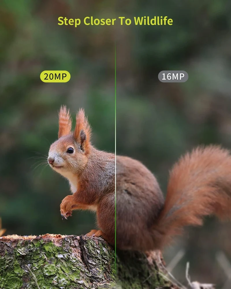 Wildkamera 20MP 1080P Nachtsicht Bewegungssensor IP66